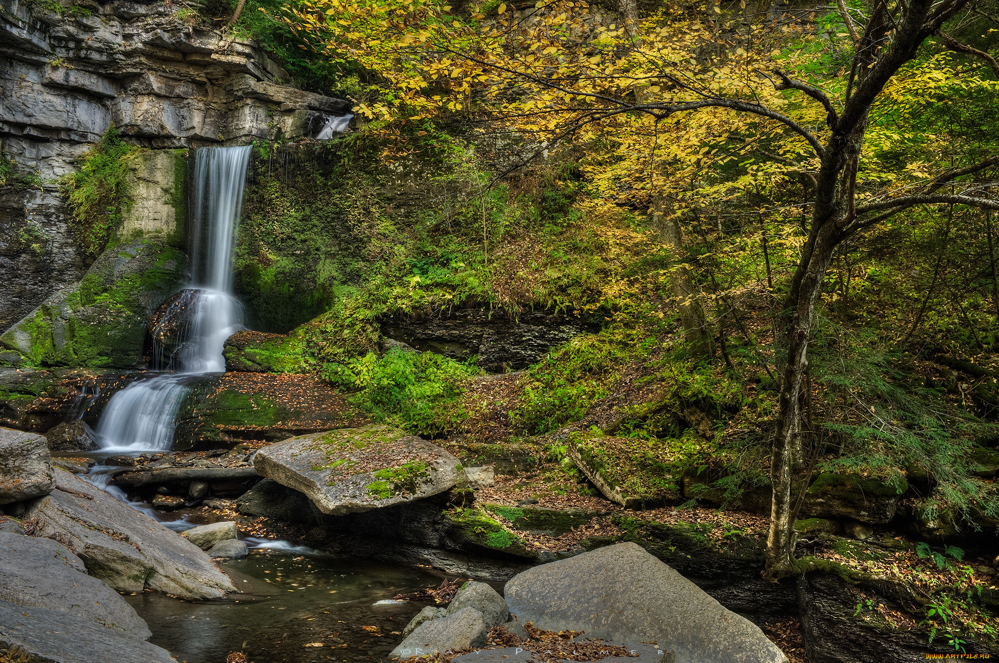 Природа комментарии. Фотообои Йоркширский водопад. Cascada York.